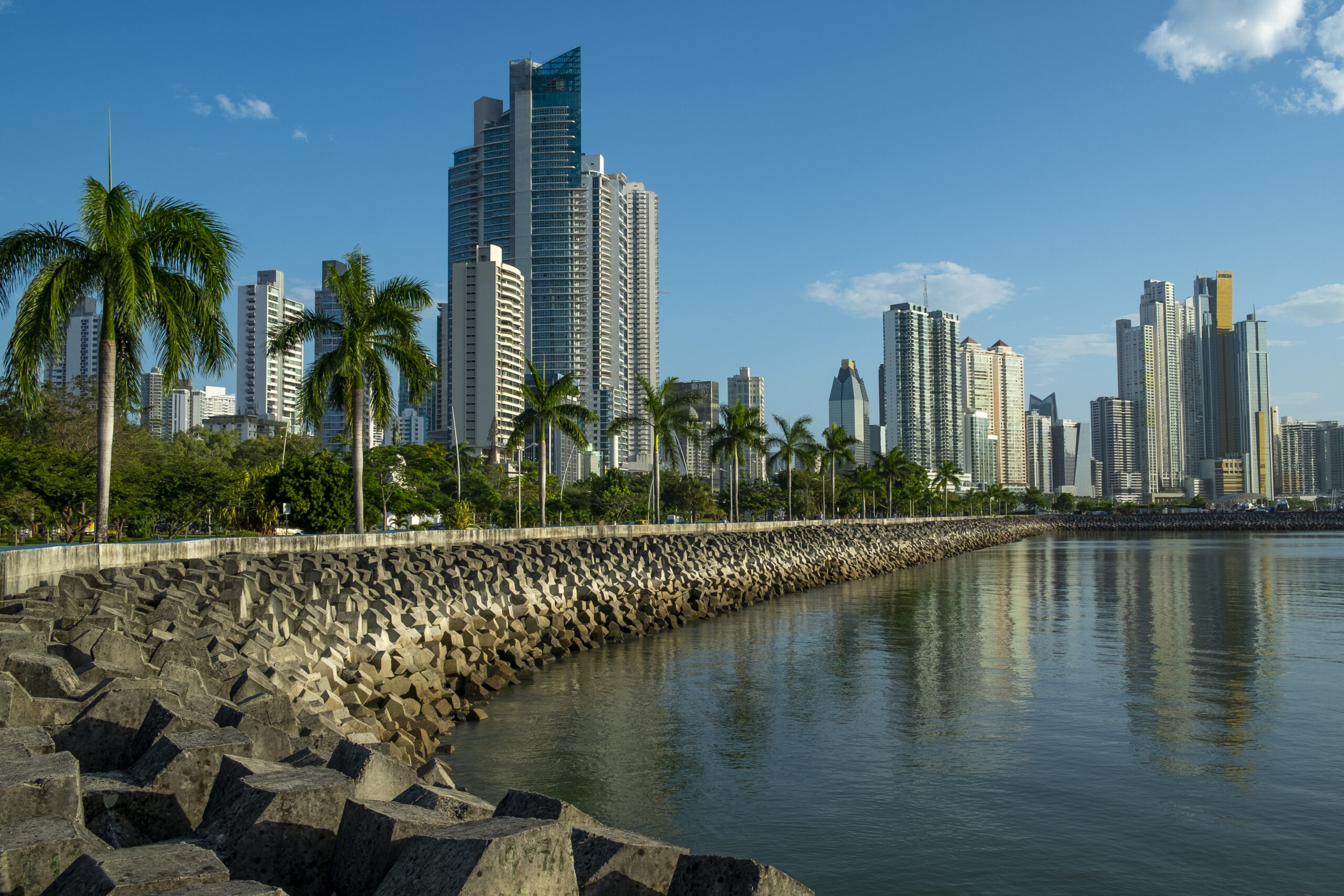 Panama City skyline at Cinta Costera area as seen from the coastal trail near the Casco Viejo/Old quarter; Panama City, Panama, Central America